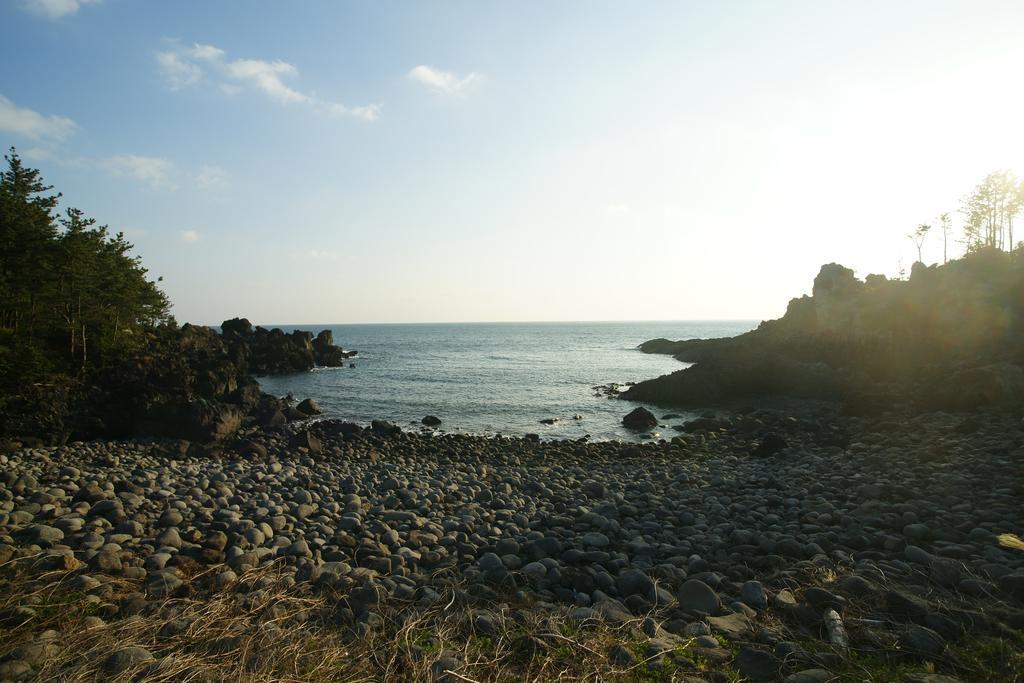 Sunny Day Jeju Villa Seogwipo Ngoại thất bức ảnh