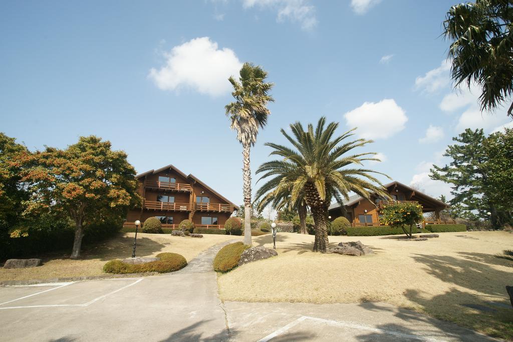 Sunny Day Jeju Villa Seogwipo Ngoại thất bức ảnh