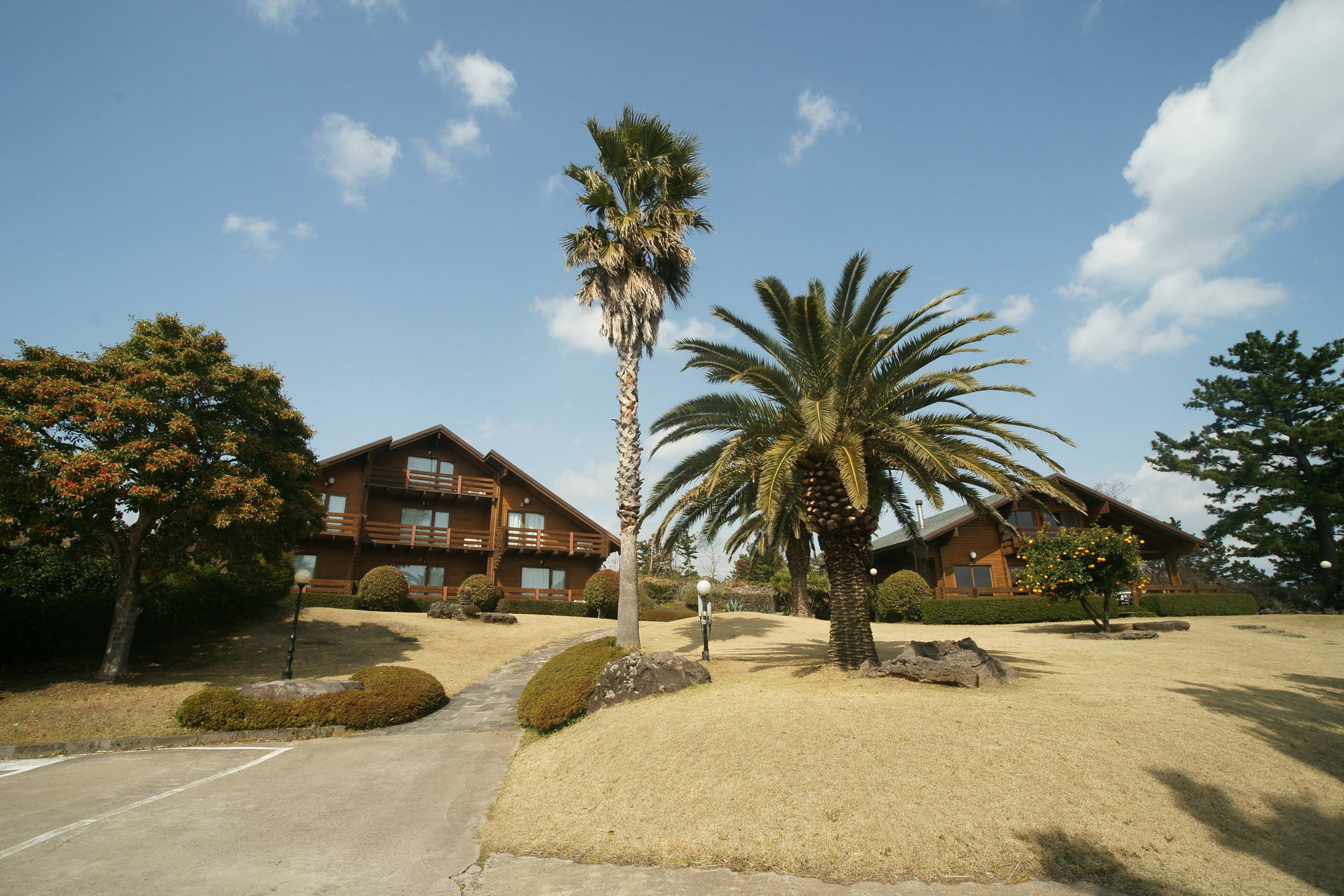 Sunny Day Jeju Villa Seogwipo Ngoại thất bức ảnh