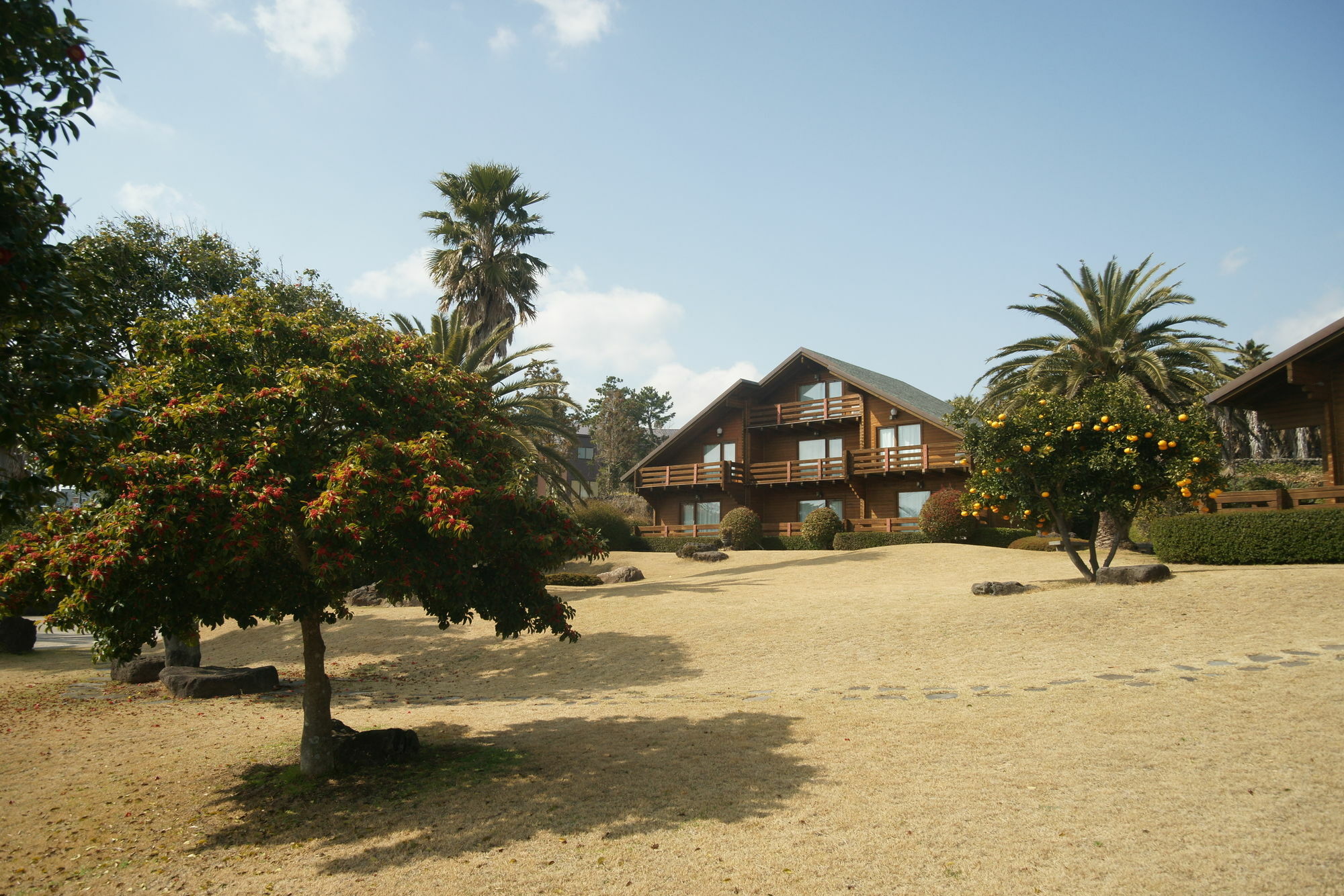 Sunny Day Jeju Villa Seogwipo Ngoại thất bức ảnh
