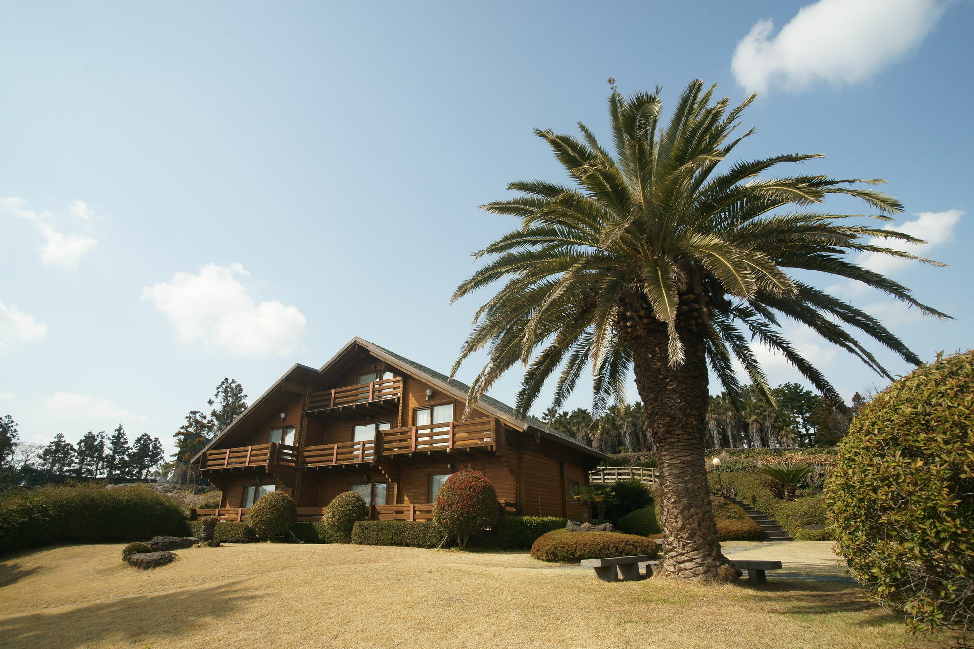 Sunny Day Jeju Villa Seogwipo Ngoại thất bức ảnh