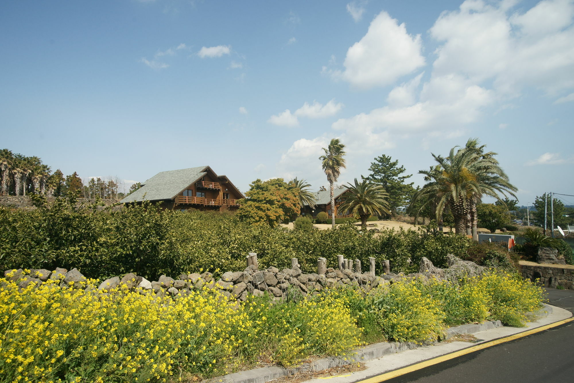 Sunny Day Jeju Villa Seogwipo Ngoại thất bức ảnh